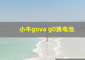 小牛gova g0换电池